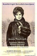 Watch Summer Wishes, Winter Dreams Movie4k