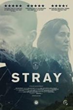 Watch Stray Movie4k