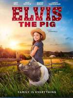 Watch Elvis the Pig Movie4k