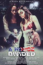 Watch A House Divided Movie4k