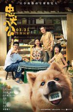 Watch Hachiko Movie4k