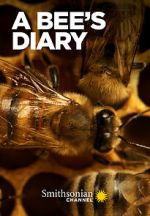 Watch A Bee\'s Diary (TV Special 2022) Movie4k