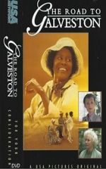 Watch The Road to Galveston Movie4k