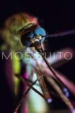 Watch Mosquito Movie4k