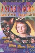 Watch A Star Is Born Movie4k