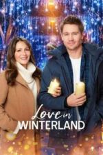 Watch Love in Winterland Movie4k