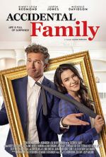 Watch Accidental Family Movie4k