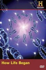 Watch How Life Began Movie4k