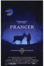 Watch Prancer Movie4k