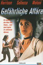 Watch A Dangerous Affair Movie4k