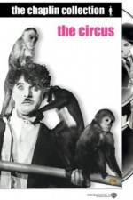 Watch The Circus Movie4k