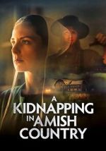 Watch A Kidnapping in Amish Country Movie4k