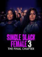 Watch Single Black Female 3: The Final Chapter Movie4k