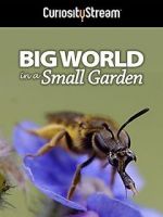 Watch Big World in a Small Garden (TV Short 2016) Movie4k