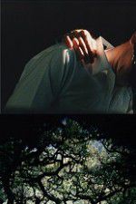 Watch The Hedge Theater Movie4k