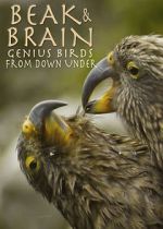 Watch Beak & Brain - Genius Birds from Down Under Movie4k