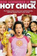Watch The Hot Chick Movie4k