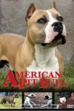 Watch American Pit Bull Movie4k