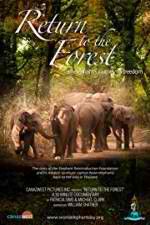 Watch Return to the Forest Movie4k