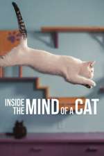 Watch Inside the Mind of a Cat Movie4k