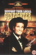 Watch Support Your Local Gunfighter Movie4k