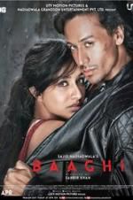 Watch Baaghi Movie4k