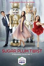 Watch Sugar Plum Twist Movie4k