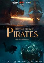 Watch The True Story of Pirates Movie4k