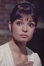 Watch Gidget Grows Up Movie4k