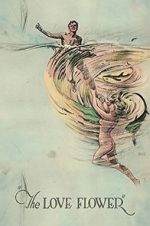 Watch The Love Flower Movie4k