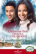 Watch A Christmas Tree Grows in Colorado Movie4k