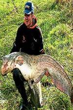 Watch Viking Expedition Movie4k