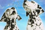 Watch 101 Dalmatians Sing Along Movie4k