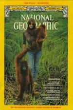 Watch Search for the Great Apes Movie4k