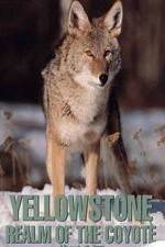 Watch Yellowstone: Realm of the Coyote Movie4k