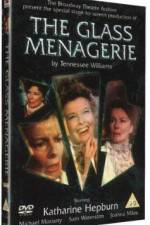 Watch The Glass Menagerie Movie4k