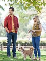 Watch Hometown Hero Movie4k