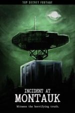 Watch Incident at Montauk Movie4k