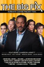 Watch The Big Fix Movie4k