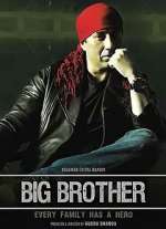 Watch Big Brother Movie4k