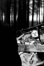 Watch Koc�r do V�dne Movie4k