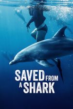 Watch Saved from a Shark Movie4k