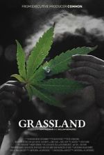 Watch Grassland Movie4k