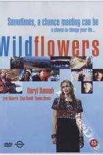 Watch Wildflowers Movie4k