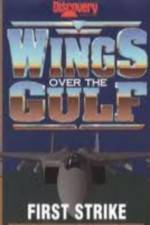 Watch Wings Over the Gulf Vol  1  First Strike Movie4k