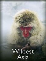 Watch Wildest Asia Movie4k