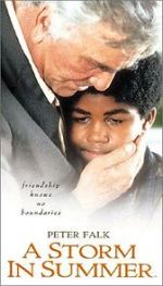 Watch A Storm in Summer Movie4k