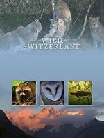 Watch Wilde Schweiz Movie4k