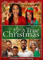 Watch A True Christmas Movie4k