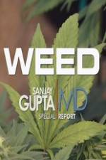 Watch CNN Weed Sanjay Gupta Report Movie4k